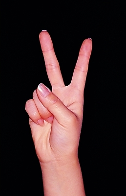 포토 손 포즈 신체 손가락 한손 한명 손짓 근접촬영 신체부위 어둠 엄지손가락 검지손가락 우승 주름 손톱 손목 브이 손금 국내포토 1 뷰포인트 모션 사람 최고 파일형식