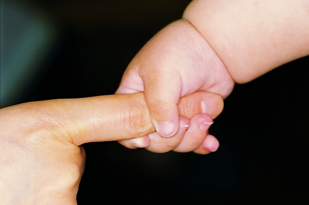 포토 손 포즈 신체 손가락 근접촬영 두명 신체부위 엄지손가락 검지손가락 아기 잡기 손톱 손목 손등 아기만 국내포토 뷰포인트 모션 사람 파일형식