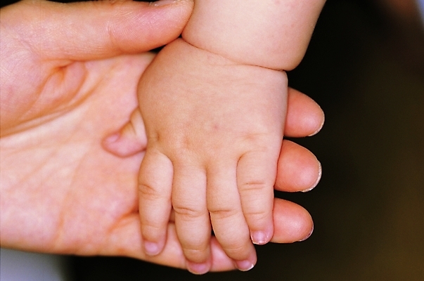 포토 손 신체 손가락 손바닥 근접촬영 두명 아웃포커스 신체부위 손잡기 아기 주름 손목 손등 손금 아기만 국내포토 뷰포인트 모션 촬영기법 사람 파일형식