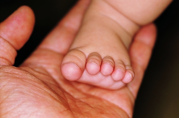 포토 손 신체 손가락 발 손바닥 근접촬영 두명 아웃포커스 신체부위 아기 주름 발가락 발등 발톱 손금 아기만 국내포토 뷰포인트 촬영기법 사람 파일형식