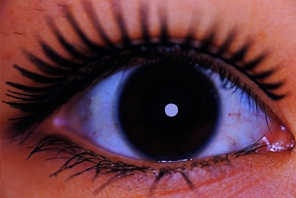 포토 응시 여자 신체 한명 사람 근접촬영 앞모습 신체부위 화장 뷰티 눈동자 속눈썹 마스카라 눈화장 충혈 안구 여자만 여자한명만 국내포토 1 시선 뷰포인트 화장품 눈_신체부위 눈썹 파일형식