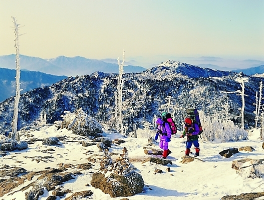 포토 주간 전신 나무 식물 계절 남자 스포츠 겨울 배낭 레저 산 그림자 사람 야외 두명 레포츠 운동 햇빛 쌓기 걷기 여행가방 등산 눈 등산복 산등성이 매기 산행 앙상함 등짐 남자만 국내포토 자연요소 옷 가방 모션 날씨 건강 태양 트래킹 파일형식