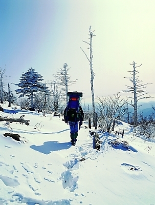 포토 주간 전신 나무 식물 계절 남자 스포츠 겨울 배낭 레저 산 그림자 한명 사람 20대 성인 야외 뒷모습 레포츠 운동 햇빛 쌓기 걷기 여행가방 등산 눈 발자국 등산복 매기 산행 앙상함 등짐 남자만 남자한명만 성인남자만 청년만 청년남자만 청년남자한명만 성인한명만 성인남자한명만 성인만 국내포토 자연요소 1 옷 뷰포인트 가방 자국 모션 날씨 건강 청년 태양 트래킹 파일형식