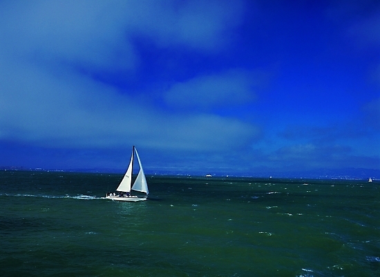 포토 주간 구름 교통수단 스포츠 바다 수상교통 요트 자연 하늘 레저 항해 풍경 여러명 야외 레포츠 한척 여름스포츠 운항 선박 국내포토 자연요소 1 다수 교통 배_교통 사람 생태계 파일형식 여름_계절