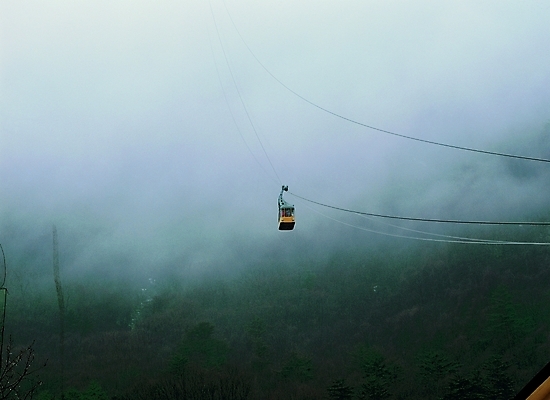 포토 나무 식물 선 줄 육상교통 교통수단 백그라운드 한대 산 사람없음 야외 안개 케이블카 뿌연 연무 국내포토 1 교통 날씨 파일형식