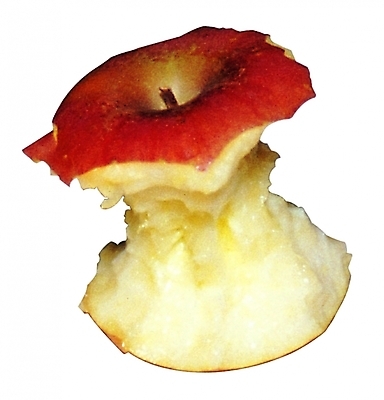 포토 식물 과일 사람없음 농작물 한개 사과 찌꺼기 먹은 사과깡치 국내포토 1 농업 쓰레기 파일형식