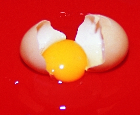 포토 음식 식재료 사람없음 계란 알 손상 껍질 균열 오브젝트 노른자 일반 흰자 국내포토 컨셉 모션 파일형식