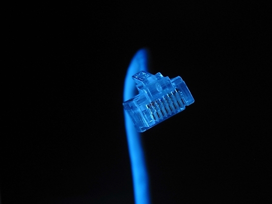 포토 JPG 사람없음 사무용품 전선 잭 케이블선 랜 랜케이블 국내포토 문구용품 파일형식