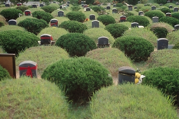 포토 JPG 주간 식물 한국문화 한국전통 시설물 건축 백그라운드 풍경 사람없음 야외 무덤 묘 공동묘지 풀 비석 제사 선산 국내포토 자연요소 동양문화 전통 건축물 한국 전통의례 파일형식