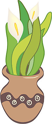 EPS 식물 꽃 컬러 일러스트 여름꽃 자연 사람없음 꽃병 도자기 풀잎 카라 칼라꽃 국내일러스트 잎 풀_식물 생태계 파일형식 벡터 여름_계절