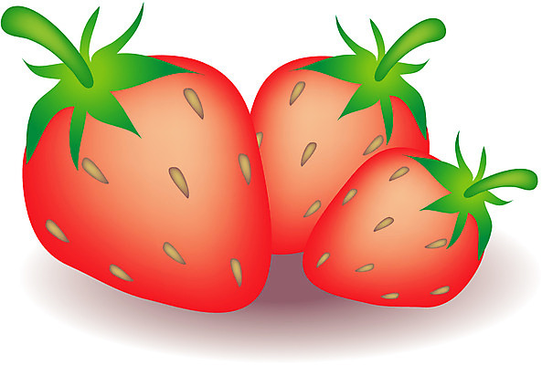 EPS 식물 과일 일러스트 딸기 사람없음 농작물 빨간딸기 국내일러스트 농업 파일형식 벡터