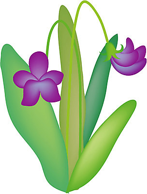 EPS 식물 꽃 일러스트 봄꽃 자연 사람없음 보라색 들꽃 제비꽃 국내일러스트 컬러 봄 생태계 파일형식 벡터