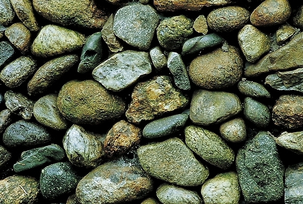 포토 JPG 백그라운드 자연 사람없음 돌_바위 조약돌 돌밭 국내포토 밭 생태계 파일형식