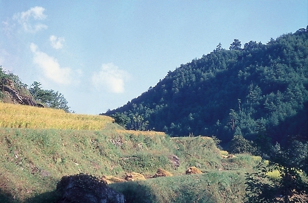 포토 JPG 주간 구름 백그라운드 하늘 산 풍경 사람없음 야외 언덕 고지 산등지 국내포토 자연요소 파일형식