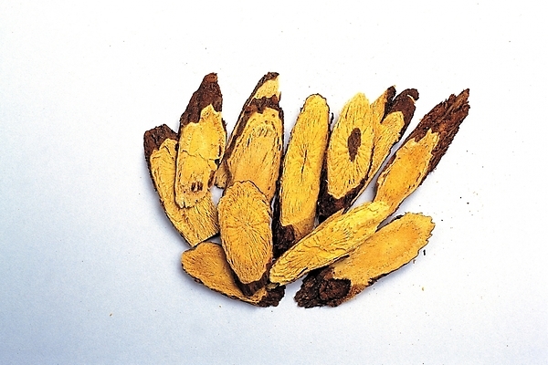 포토 JPG 전통 의학 사람없음 치료 약 한의학 약재 한약재 한약 약국 감초 국내포토 파일형식