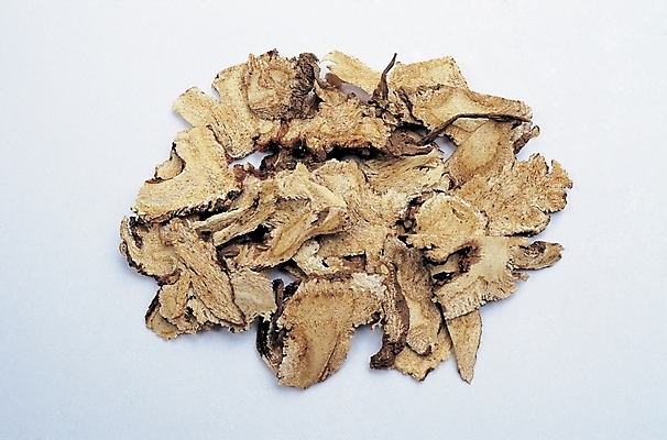 포토 JPG 스튜디오촬영 재료 의학 사람없음 치료 약 한의학 약재 한약재 한약 영지 국내포토 실내 파일형식