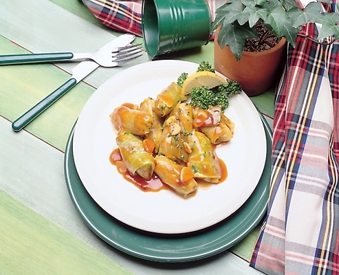 포토 JPG 식물 그릇 접시 웰빙 화분 음식 포크 서양음식 요리 사람없음 식사 나이프 양배추말이 국내포토 식기 칼 파일형식