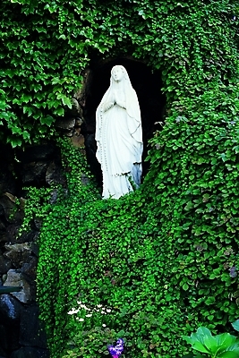 포토 JPG 식물 기독교 종교 문화 잎 종교용품 사람없음 천주교 덩굴 석상 천주교용품 마리아상 성모상 국내포토 파일형식