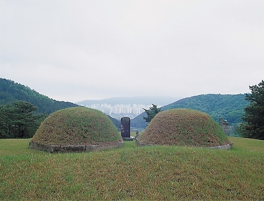 포토 JPG 주간 나무 식물 한국문화 한국전통 전통 시설물 건축 산 잔디 사람없음 야외 무덤 묘 풀 비석 제사 산소 국내포토 자연요소 동양문화 건축물 한국 원소 전통의례 파일형식