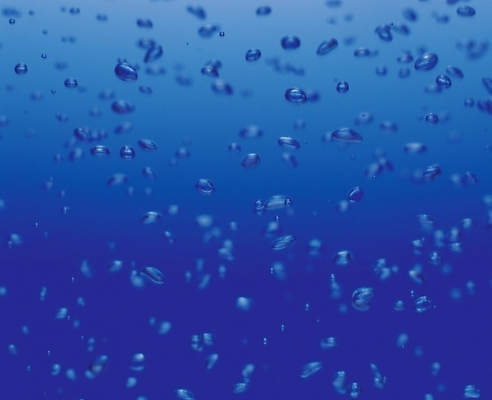 포토 JPG 백그라운드 자연 사람없음 물 파란색 거품 물방울 산소 수포 국내포토 자연요소 컬러 원소 생태계 파일형식