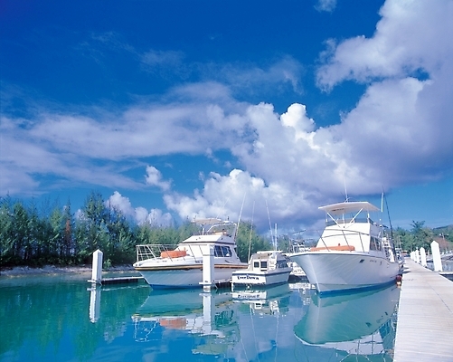 포토 JPG 주간 나무 식물 구름 바다 수상교통 요트 하늘 낚시 야외 물 여름 레포츠 휴양지 모터보트 선박 국내포토 자연요소 계절 교통수단 배_교통 레저 장소 파일형식