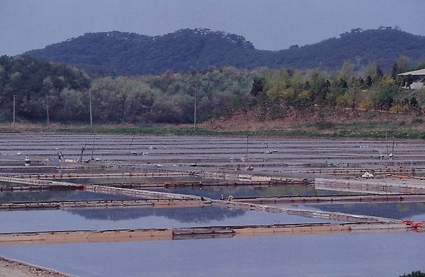 포토 JPG 주간 나무 식물 산업 바다 백그라운드 산 어업 풍경 사람없음 야외 어촌 양식장 양식업 국내포토 자연요소 시골 시설 파일형식