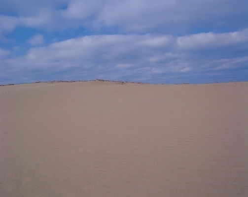 포토 JPG 주간 구름 모래 백그라운드 자연 하늘 풍경 사람없음 야외 사막 언덕 지평선 국내포토 자연요소 생태계 파일형식