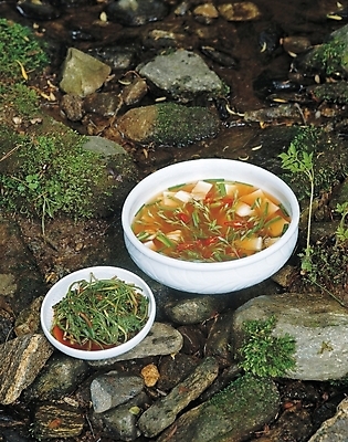 포토 JPG 한국문화 한국전통 웰빙 한식 음식 반찬 김치 요리 사람없음 돌_바위 겨울음식 물김치 나박김치 동치미 파김치 국내포토 동양문화 전통 겨울 한국 파일형식