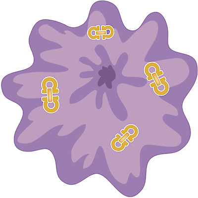 EPS 잡화 일러스트 장신구 사람없음 머리띠 고무줄 머리핀 머리끈 국내일러스트 파일형식 벡터