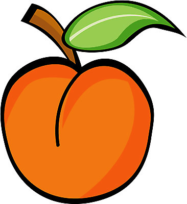 EPS 식물 아이콘 컬러 과일 사람없음 여름 농작물 주황색 달콤 복숭아 백도 황도 2D아이콘 계절 농업 맛 파일형식 벡터