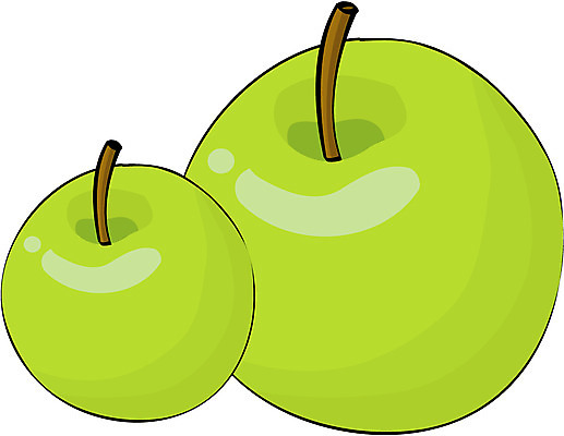 EPS 나무 식물 열매 컬러 과일 일러스트 자연 사람없음 초록색 농작물 사과 풋사과 국내일러스트 농업 생태계 파일형식 벡터