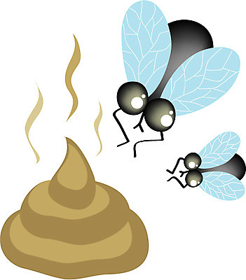 EPS 동물 곤충 두마리 절지류 날개 일러스트 사람없음 해충 파리_프랑스 파리_곤충 배설물 변 똥파리 국내일러스트 2 프랑스 벌레 파일형식 벡터