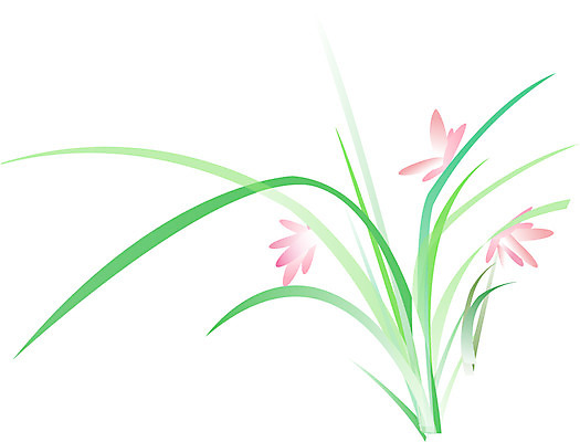 EPS 식물 꽃 일러스트 사람없음 난초 난초꽃 국내일러스트 파일형식 벡터