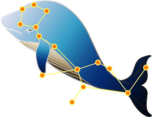 EPS 클립아트 동물 척추동물 일러스트 포유류 사람없음 바다동물 별자리 고래 돌고래 점성술 고래자리 국내일러스트 바다 수중동물 파일형식 벡터