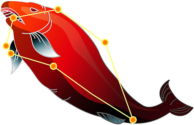 EPS 클립아트 동물 척추동물 일러스트 어류 사람없음 별자리 운세 점성술 물고기자리 국내일러스트 수중동물 파일형식 벡터