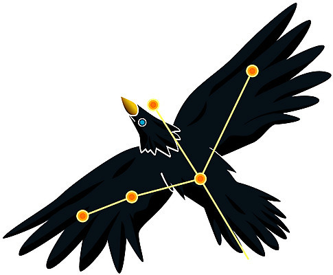 EPS 클립아트 동물 척추동물 일러스트 조류 사람없음 별자리 독수리 점성술 독수리자리 국내일러스트 파일형식 벡터