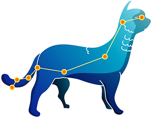EPS 클립아트 동물 척추동물 육지동물 일러스트 포유류 사람없음 반려동물 고양이 별자리 점성술 살쾡이 살쾡이자리 국내일러스트 파일형식 벡터