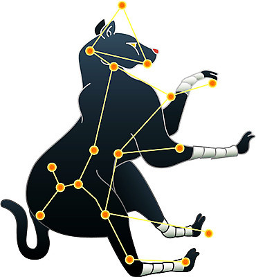 EPS 클립아트 별 일러스트 사람없음 별자리 개 점성술 큰개자리 국내일러스트 자연요소 포유류 파일형식 벡터