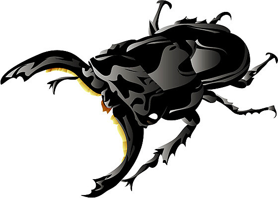 EPS 클립아트 동물 곤충 절지류 일러스트 사람없음 벌레 풍뎅이 집게벌레 국내일러스트 파일형식 벡터