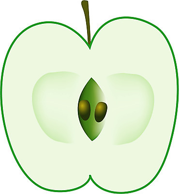 EPS 식물 컬러 과일 일러스트 사람없음 초록색 농작물 가을 사과 반쪽 청사과 아오이 국내일러스트 계절 농업 파일형식 벡터