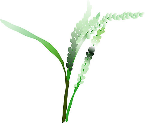 EPS 식물 컬러 일러스트 사람없음 초록색 풀 풀잎 버들잎 국내일러스트 잎 풀_식물 파일형식 벡터