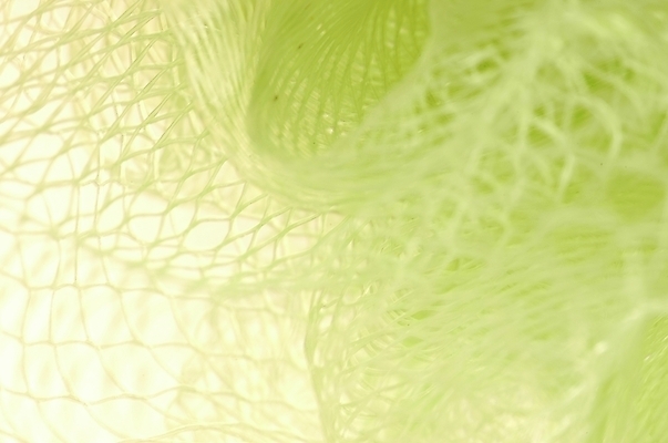 포토 JPG 생활용품 실내 근접촬영 사람없음 연두색 수건 위생용품 목욕타월 스펀지 바디스폰지 국내포토 뷰포인트 내부 초록색 오브젝트 파일형식