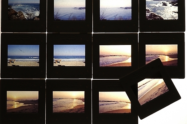 포토 JPG 스튜디오촬영 바다 생활용품 자연 하늘 실내 풍경 근접촬영 사람없음 하이앵글 필름 여러장 기념사진 필름사진 국내포토 뷰포인트 다수 내부 오브젝트 생태계 파일형식