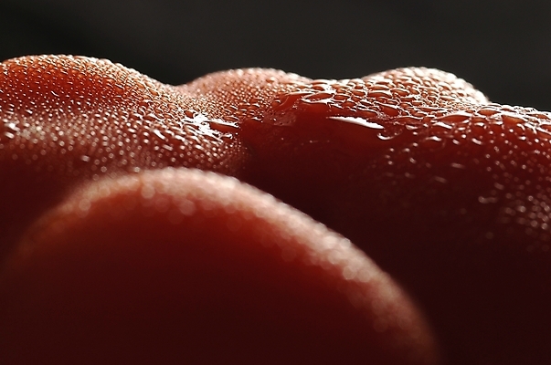 포토 JPG 스튜디오촬영 채소 식재료 자연 피망 파프리카 실내 근접촬영 사람없음 빨간색 하이앵글 어둠 물방울 붉은피망 국내포토 뷰포인트 컬러 내부 생태계 파일형식