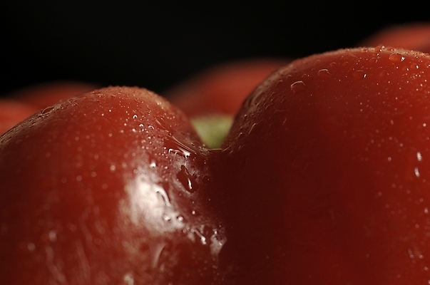 포토 JPG 스튜디오촬영 채소 식재료 자연 피망 파프리카 실내 근접촬영 사람없음 빨간색 하이앵글 어둠 붉은피망 국내포토 뷰포인트 컬러 내부 생태계 파일형식