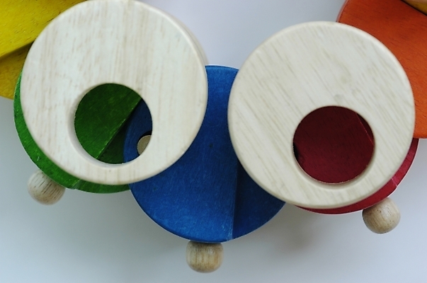 포토 JPG 스튜디오촬영 생활용품 부분 놀이 실내 근접촬영 사람없음 하이앵글 장난감 놀이용품 블록 벌레 오브젝트 교구 교육용품 목조 나무벌레 송충이 국내포토 교육 뷰포인트 곤충 내부 파일형식