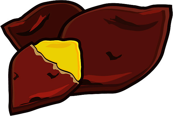 EPS 클립아트 음식 채소 일러스트 디저트 사람없음 농작물 겨울음식 고구마 겨울간식 군고구마 찐고구마 제철음식 국내일러스트 겨울 농업 뿌리채소 구이 찜 제철 파일형식 벡터