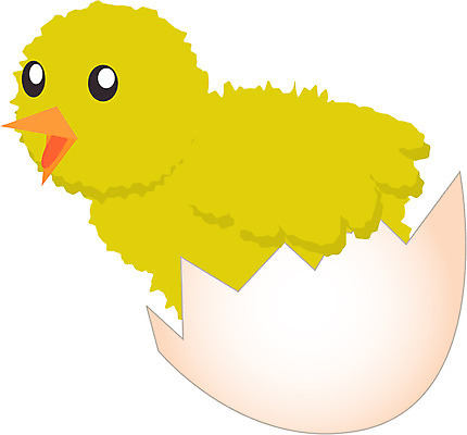 EPS 동물 척추동물 일러스트 조류 병아리 사람없음 계란 닭 부화 닭목 국내일러스트 알 파일형식 벡터