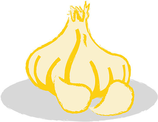 EPS 클립아트 채소 일러스트 식재료 마늘 농작물 향료 국내일러스트 농업 향기 냄새 파일형식 벡터