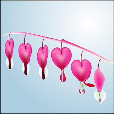 EPS 클립아트 식물 꽃잎 꽃 화초 줄기 잎 일러스트 봄꽃 자연 빨간색 장미 금낭화 국내일러스트 컬러 봄 생태계 파일형식 벡터